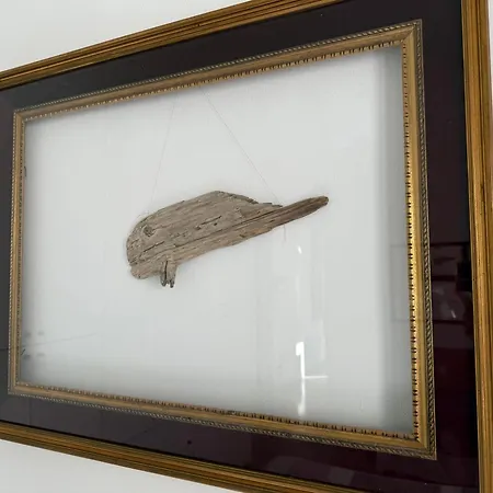 Il Pesce Di Legno 아파트 *